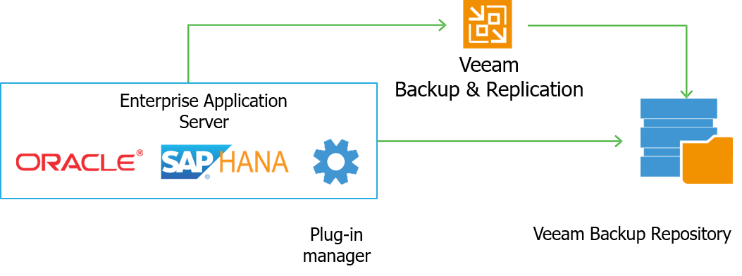 Veeam Enterprise application plug ins